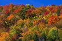 Fall foliage near Lake Elmore in Lamoille County, Vermont, USA.