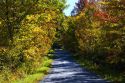 Fall foliage on a rural backroad near Lake Elmore in Lamoille County, Vermont, USA.