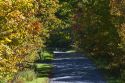 Fall foliage on a rural backroad near Lake Elmore in Lamoille County, Vermont, USA.